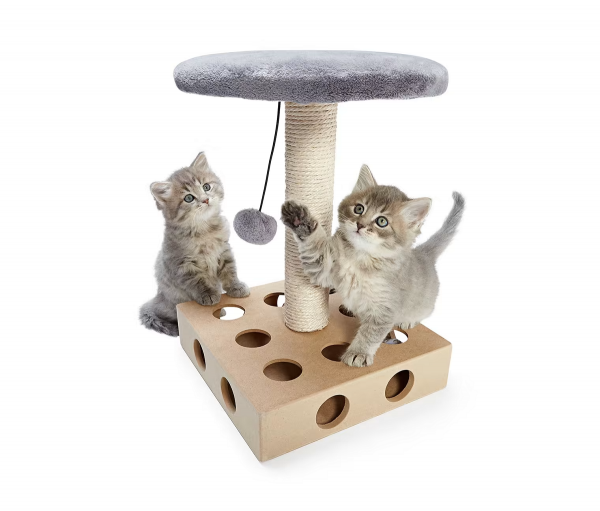 برج بازی گربه